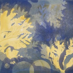 Dream; Under the Sea