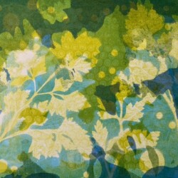 Thinking Spring Thinking Spring