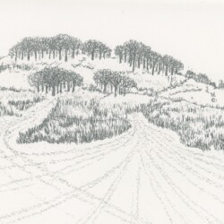 Looking North to Frederick's Hill